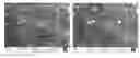 Fig. 01 - Elemental Selenium Nanoparticles and Production Method