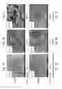 Fig. 04 - ZrO2-Al2O3-based ceramic sintered compact and production method thereof