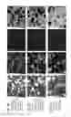 Fig. 09 - ZrO2-Al2O3-based ceramic sintered compact and production method thereof