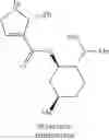 Fig. 28 - ANTI-ARRHYTHMICITY AGENTS