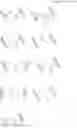 Fig. 77 - Aminotriazine derivative and pharmaceutical composition comprising the same