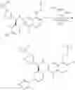 Fig. 151 - COT modulators and methods of use thereof