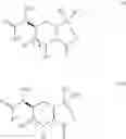 Fig. 22 - Process for the preparation of tert-butyl 4-((2S ,5R)-6-(benzyloxy)-7-oxo-1,6-diazabicyclo[3.2.1]octane-2-carboxamido)piperidine-1-carboxylate and analogs thereof