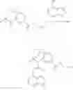Fig. 554 - Substituted bridged urea analogs as sirtuin modulators