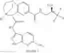 Fig. 856 - Substituted bridged urea analogs as sirtuin modulators