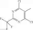 Fig. 52 - CCR2 receptor antagonists and uses thereof