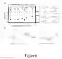 Fig. 07 - Ligand-exchangeable nanoparticles and methods of making the same