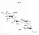Fig. 43 - Methods for modular synthesis of N-glycans and arrays thereof