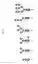 Fig. 71 - Methods for modular synthesis of N-glycans and arrays thereof