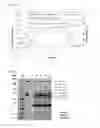 Fig. 02 - Protein manufacture