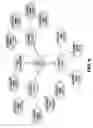 Fig. 09 - Engineered programmable molecular scaffolds from porous protein crystals