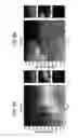 Fig. 07 - Synthetic foldable proteins generated from peptide segments of folding nuclei of reference proteins