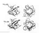 Fig. 09 - Synthetic foldable proteins generated from peptide segments of folding nuclei of reference proteins