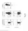 Fig. 06 - Enhanced affinity T cell receptors and methods for making the same