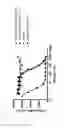 Fig. 09 - Cysteine engineered fibronectin type III domain binding molecules