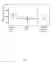 Fig. 06 - TEM-1 diagnostic antibodies