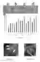 Fig. 06 - Oxime cross-linked biocompatible polymer hydrogels and methods of use thereof