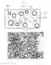 Fig. 02 - QUANTUM DOT COMPOSITE AND PHOTOELECTRIC DEVICE COMPRISING SAME