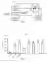 Fig. 02 - Activated platelet composition with tunable growth factor level
