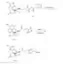Fig. 01 - Conjugates for assays for oxycodone and oxymorphone