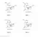 Fig. 02 - Conjugates for assays for oxycodone and oxymorphone