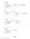 Fig. 04 - Conjugates for assays for oxycodone and oxymorphone