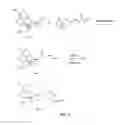 Fig. 06 - Conjugates for assays for oxycodone and oxymorphone