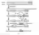 Fig. 02 - METHODS AND COMPOSITIONS FOR SELECTIVELY ELIMINATING CELLS OF INTEREST