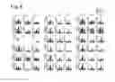 Fig. 09 - Non-aggregating immunostimulatory oligonucleotides