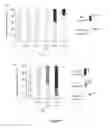 Fig. 02 - Chimeric proteins which enhance the activity of DNA binding domains (DBD) and transcription factors in plants