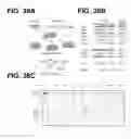 Fig. 45 - Methods and compositions for detecting a target RNA