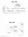 Fig. 08 - Biosensor based on a tethered particle