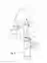 Fig. 03 - Faucet with articulating arm