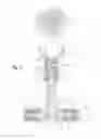Fig. 06 - Faucet with articulating arm