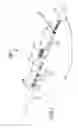 Fig. 02 - Rope socket assembly and wireline logging heads including same