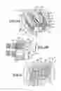 Fig. 10 - Charge forming device with adjustable valve limiter