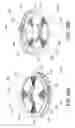 Fig. 29 - Magnetocaloric refrigerator