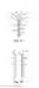 Fig. 08 - Microwell array articles and methods of use