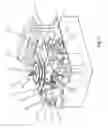 Fig. 06 - Gemstone registration and recovery system, and systems for evaluating the light performance of a gemstone and capturing forensic characteristics of a gemstone