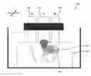 Fig. 01 - Method and system for oblique backscattering ultrasound transmissive contrast imaging