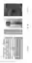 Fig. 02 - Amorphous, porous silicon materials and related methods