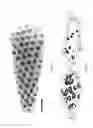 Fig. 05 - Amorphous, porous silicon materials and related methods