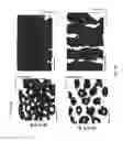 Fig. 06 - Amorphous, porous silicon materials and related methods