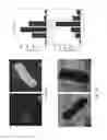 Fig. 16 - Amorphous, porous silicon materials and related methods