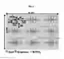Fig. 02 - PATTERNED NEUROMUSCULAR JUNCTIONS AND METHODS OF USE