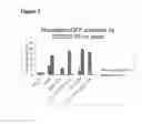 Fig. 04 - Biosensors Engineered from Conditionally Stable Ligand-Binding Domains