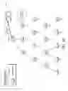 Fig. 09 - Phased network formation for power restoration