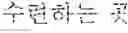 Fig. 43 - Electronic device for providing translation service and method thereof for determining translation candidate text from a plurality of candidate texts