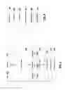 Fig. 08 - LINGUISTIC MODEL SELECTION FOR ADAPTIVE AUTOMATIC SPEECH RECOGNITION