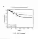 Fig. 29 - Scoring of tumor infiltration by lymphocytes